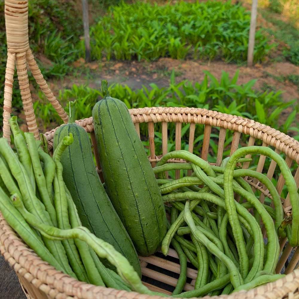Home-Cooked Dinner at Baitang Siem Reap (15)