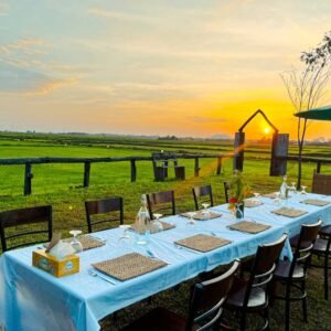 Siem Reap Rice Field Sunset and Home-Cooked Dinner