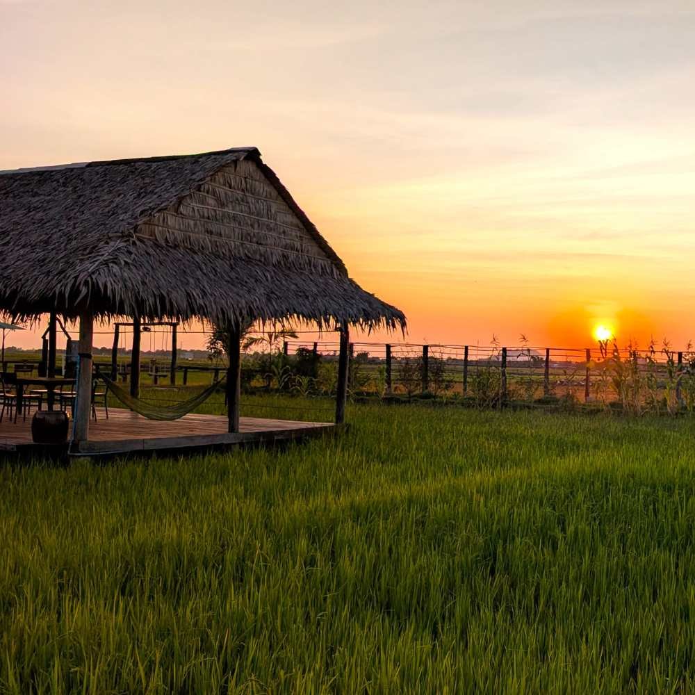 Home-Cooked Dinner at Baitang Siem Reap (4)