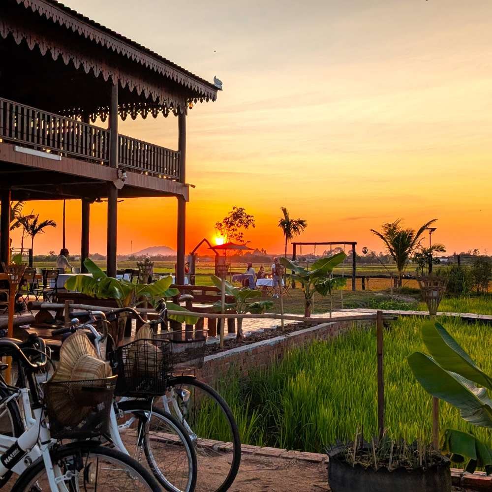 Rice Field Sunset Drink Experience