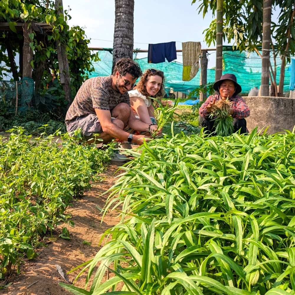 hands-on-cooking-class-cambodia-local-experience.jpg